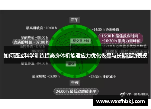 如何通过科学训练提高身体机能适应力优化恢复与长期运动表现