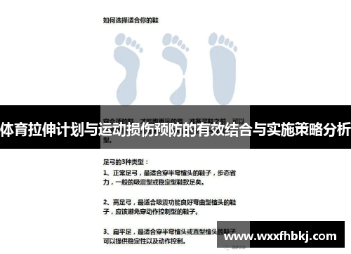 体育拉伸计划与运动损伤预防的有效结合与实施策略分析
