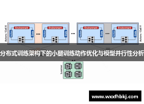 分布式训练架构下的小腿训练动作优化与模型并行性分析